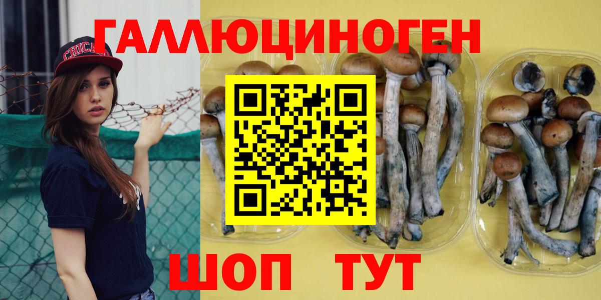 Галлюциногенные грибы мухоморы Щёлково